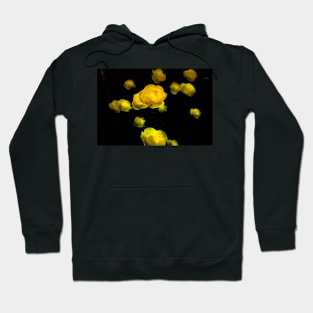 Globe blooms on black. Hoodie